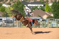 Saddle Bronc