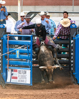 Bull Riding 1