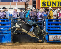 Bull Riding 2