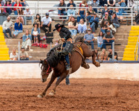 Saddle Bronc
