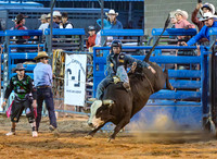 Bull Riding 2
