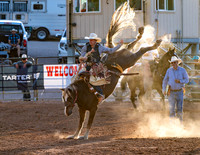 Saddle Bronc