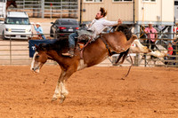 Bareback