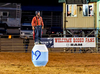 Bull Riding 2