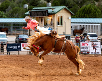 Saddle Bronc