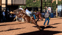 Bareback