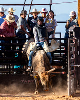 Bull Riding 1