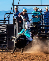 Bull Riding 1