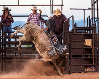 Bull Riding 2