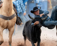 Steer Wrestling
