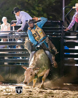 Bull Riding Two