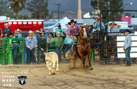 Calf Roping