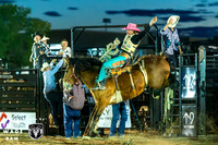 Saddlebronc