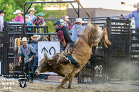Bull Riding One