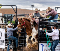 Saddlebronc