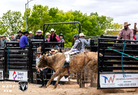 Bull Riding One