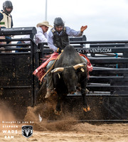 Bull Riding Two