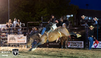 Bareback