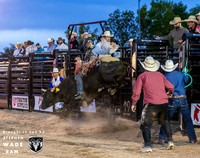 Bull Riding One