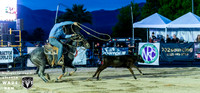 Calf Roping