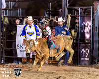 Mini Bulls