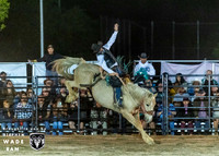 Saddlebronc