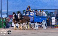 Wagon