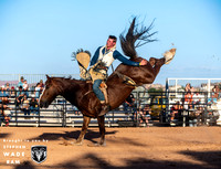 Dixie Spring Roundup