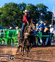 Calf Roping