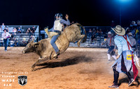 Bull Riding Two