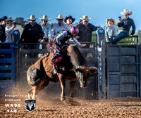 Bull Riding One