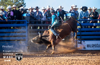 Bull Riding One