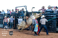 Bull Riding One