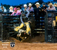 Bull Riding Two