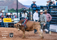 Mini Bulls