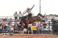 Saddlebronc