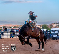 Saddlebronc