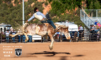Bareback