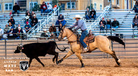Team Roping