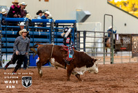 Mini Bulls