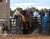 Saddlebronc
