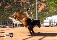 Saddlebronc