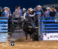 Bull Riding Two