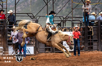 Saddlebronc