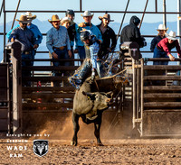Bull Riding One