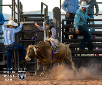 Mini Bulls