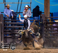 Bull Riding Two