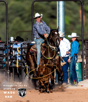 Calf Roping