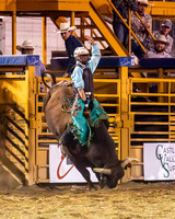 Bull Riding