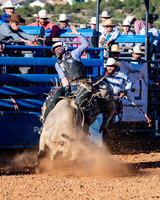 Bull Riding One